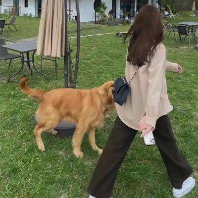 爱得其所